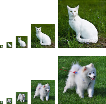 ../_images/cat-dog-pixels.png